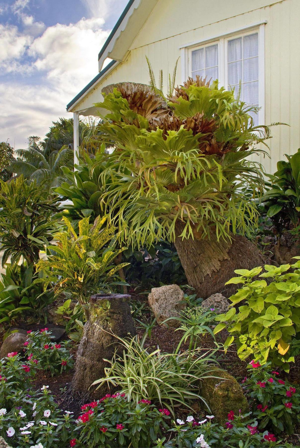 Castaway Norfolk Island Hotel Burnt Pine Exterior photo